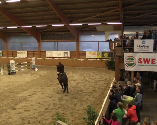Reitturnier Xanten - Reitanlage Miss 2022