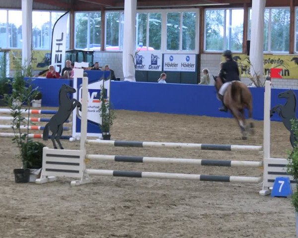 Reitturnier Isterberg Euregio Springturnier 2022