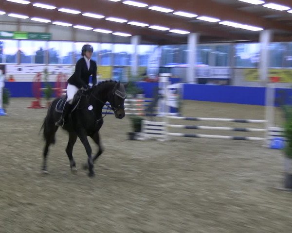 Reitturnier Isterberg Euregio Springturnier 2022