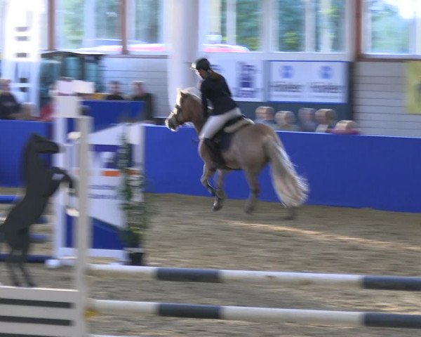 Reitturnier Isterberg Euregio Springturnier 2022