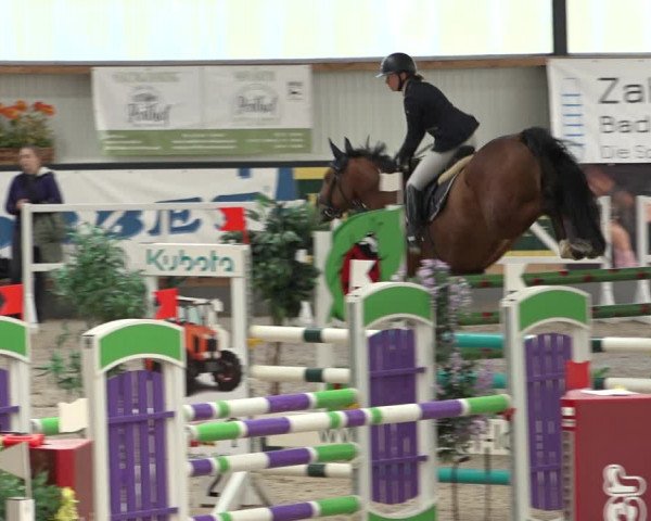 Reitturnier Borken 2022