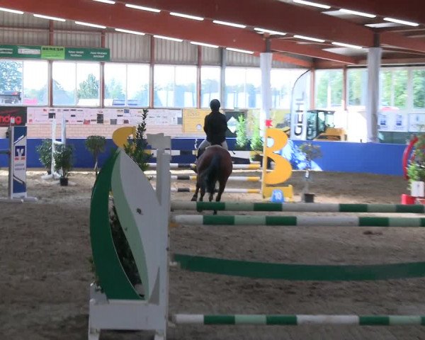 Reitturnier Isterberg Euregio Springturnier 2022