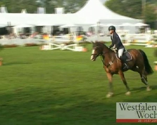 jumper Lasse Lindström (Westphalian, 2007, from Lordanos)