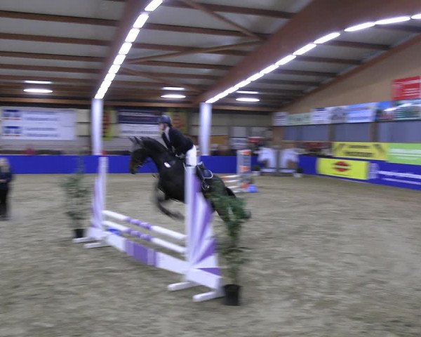 Reitturnier Isterberg Euregio Springturnier 2022