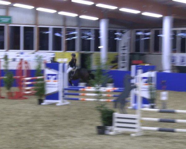 Reitturnier Isterberg Euregio Springturnier 2022