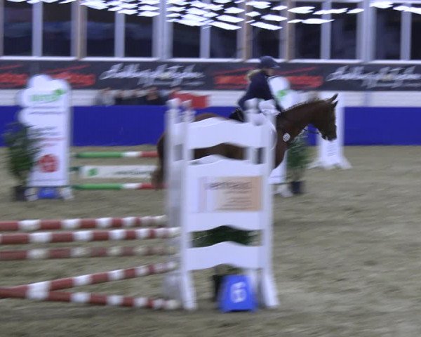 Reitturnier Isterberg Euregio Springturnier 2022