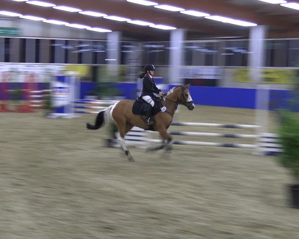 Reitturnier Isterberg Euregio Springturnier 2022