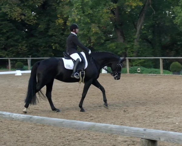Reitturnier Diessen 2022