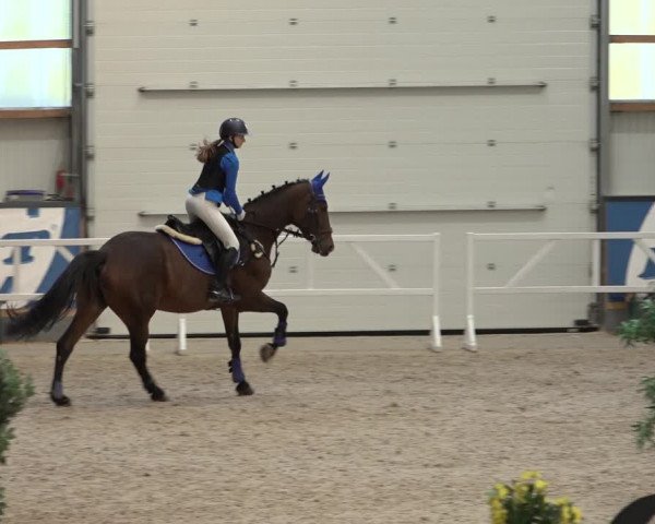 Reitturnier Borken 2022