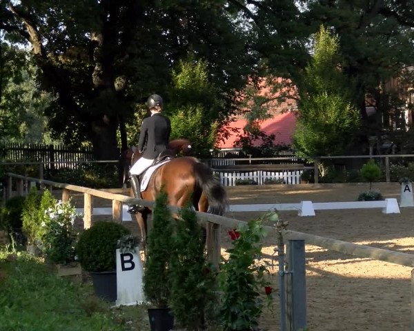 Reitturnier Diessen 2022