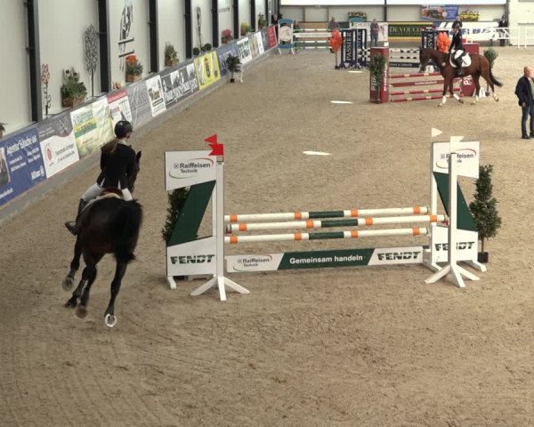 Reitturnier Borken 2022
