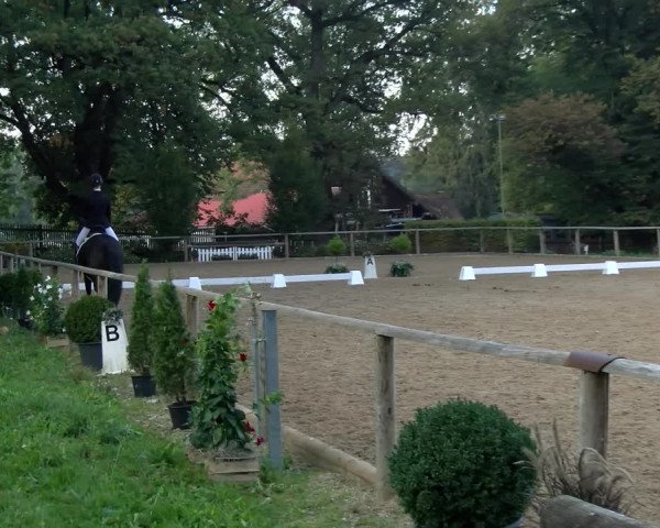 Reitturnier Diessen 2022