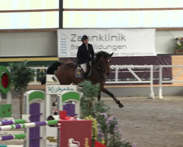 Reitturnier Borken 2022