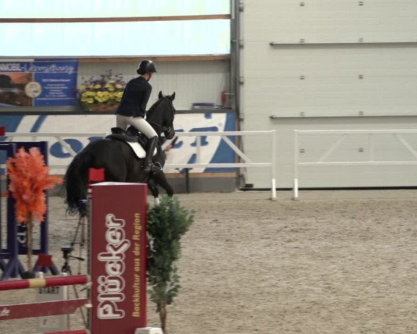 Reitturnier Borken 2022