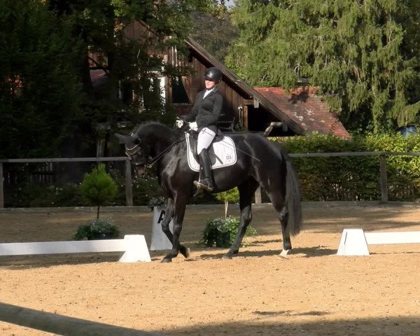 Reitturnier Diessen 2022