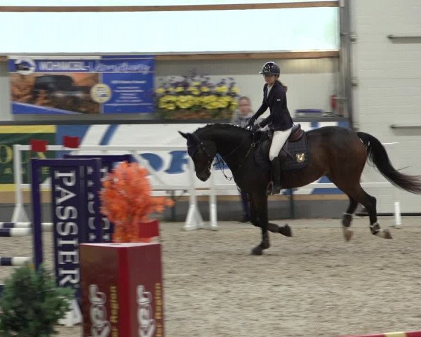 Reitturnier Borken 2022