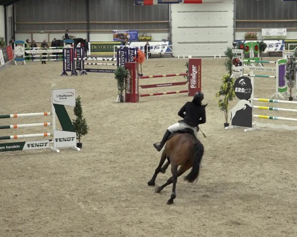 Reitturnier Borken 2022