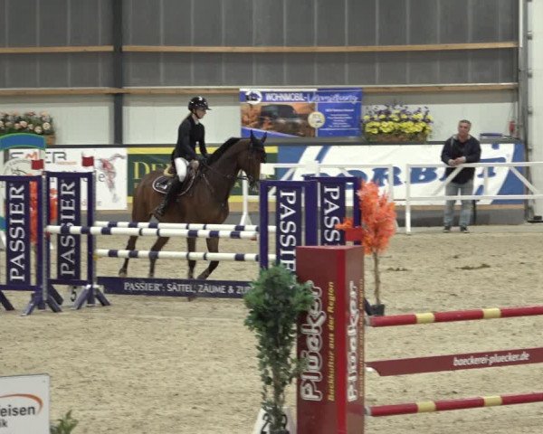 Reitturnier Borken 2022