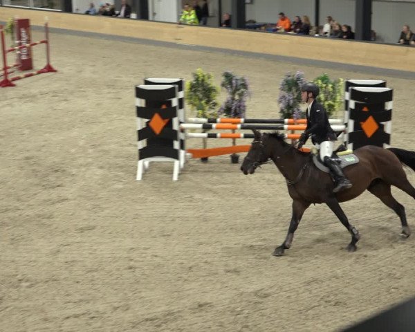 Reitturnier Borken 2022