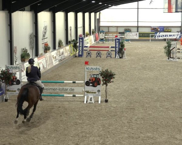 Reitturnier Borken 2022