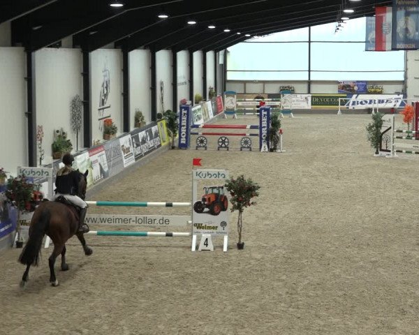 Reitturnier Borken 2022