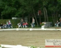 stallion Trussardi D (German Riding Pony, 2007, from Timberland)