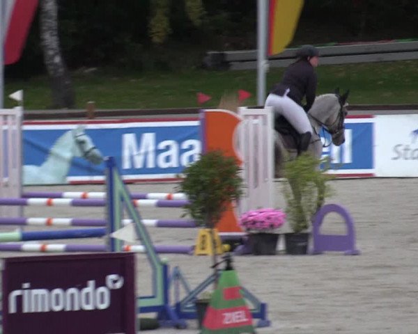 Reitturnier Westergellersen 2022