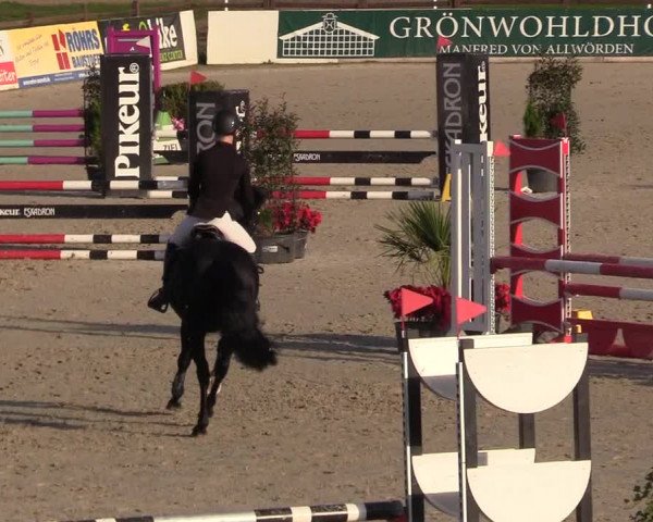 Reitturnier Westergellersen 2022