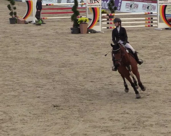 Reitturnier Westergellersen 2022