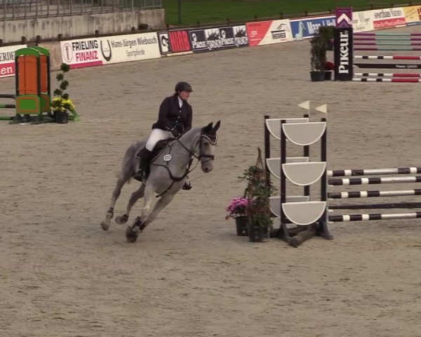 Reitturnier Westergellersen 2022