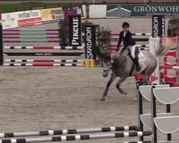 Reitturnier Westergellersen 2022