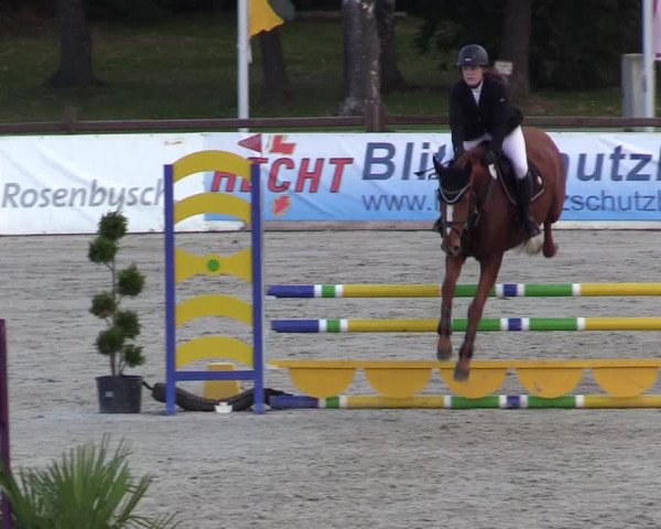 Reitturnier Westergellersen 2022