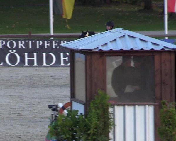 Reitturnier Westergellersen 2022