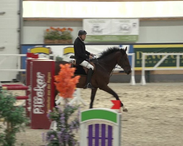 Reitturnier Borken 2022