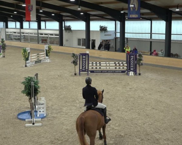 Reitturnier Borken 2022