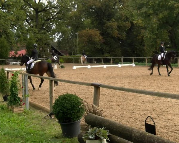 Reitturnier Diessen 2022