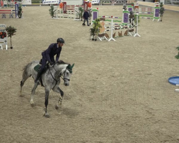 Reitturnier Borken 2022