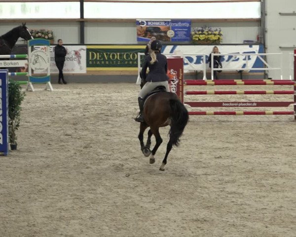 Reitturnier Borken 2022