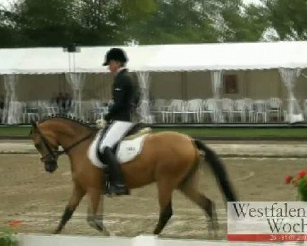 broodmare Darling Deleila AT (German Riding Pony, 2008, from Dance Star AT NRW)