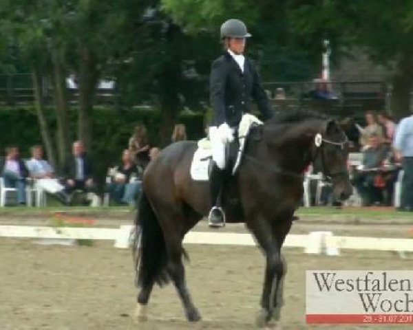dressage horse Revanche As (Westphalian, 2008, from Riccione)