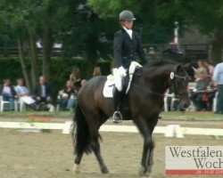 dressage horse Revanche As (Westphalian, 2008, from Riccione)