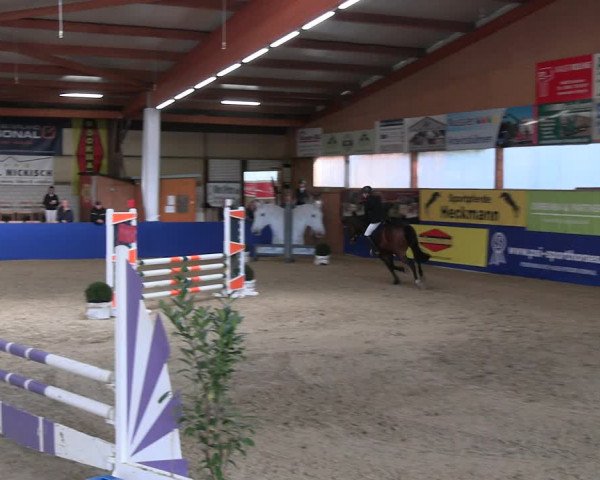 Reitturnier Isterberg Euregio Springturnier 2022