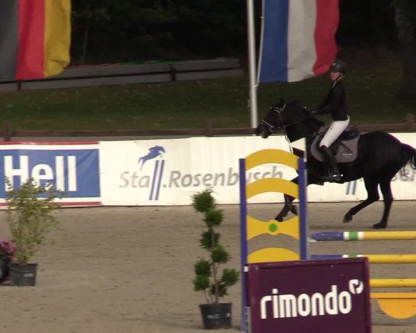 Reitturnier Westergellersen 2022