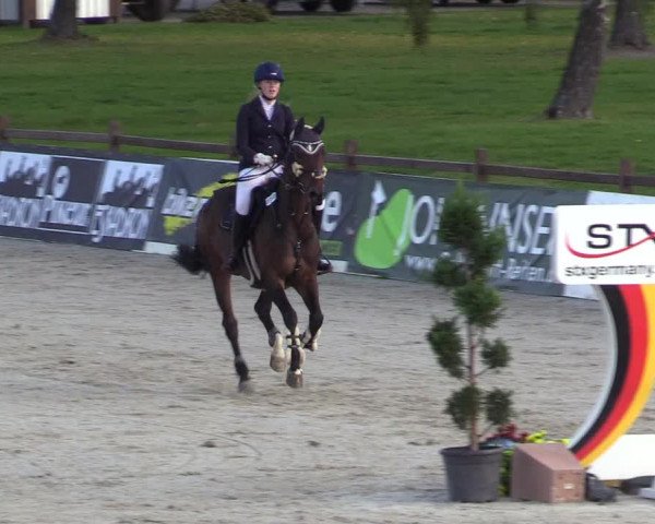 Reitturnier Westergellersen 2022