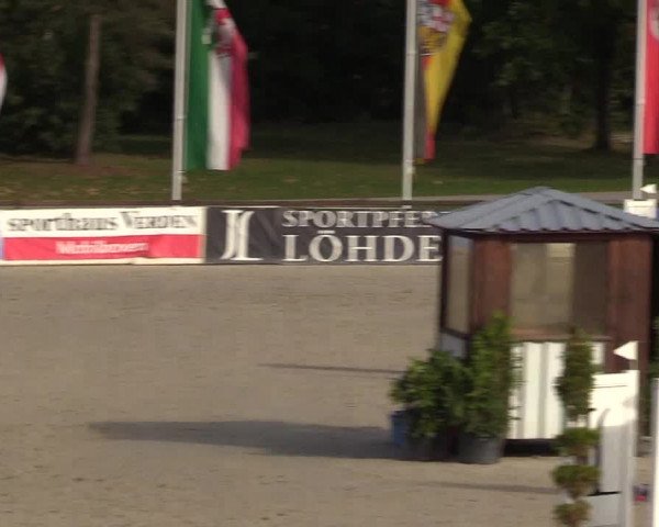 Reitturnier Westergellersen 2022