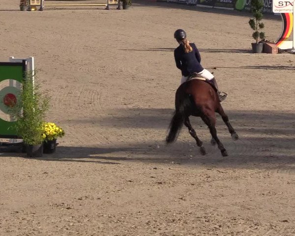 Reitturnier Westergellersen 2022