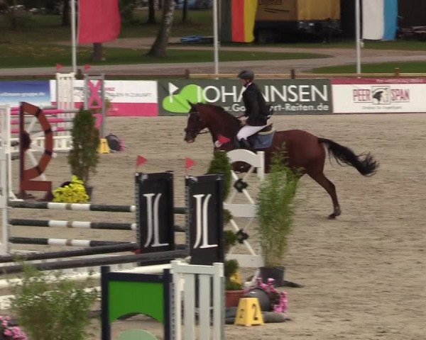 Reitturnier Westergellersen 2022