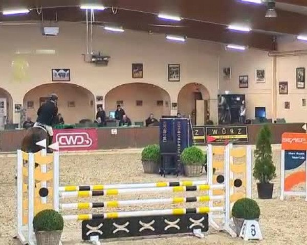 Video of McGonagall b