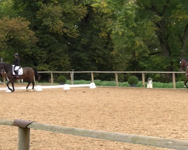 Reitturnier Diessen 2022