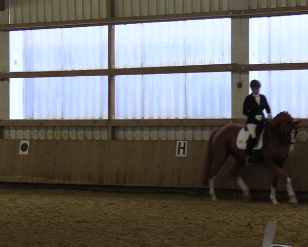 Reitturnier Werdohl-Rentrop 2022